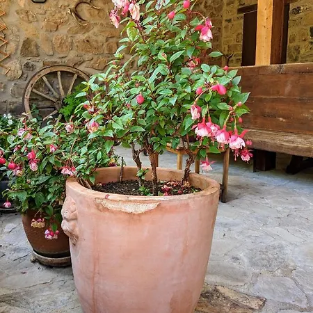 Apartment Olmares Terrace - Picos De Europa