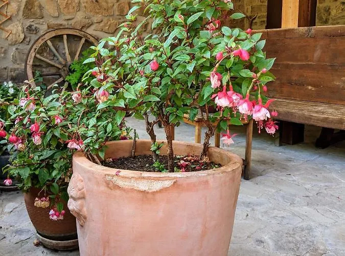 Lägenhet Olmares Terrace - Picos De Europa